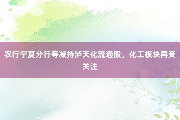 农行宁夏分行等减持泸天化流通股，化工板块再受关注