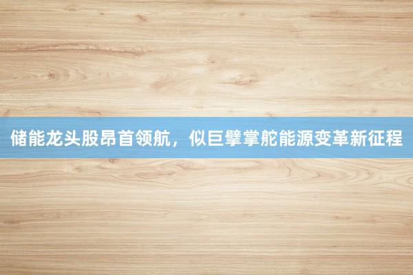 储能龙头股昂首领航，似巨擘掌舵能源变革新征程