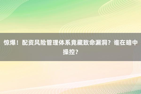 惊爆！配资风险管理体系竟藏致命漏洞？谁在暗中操控？