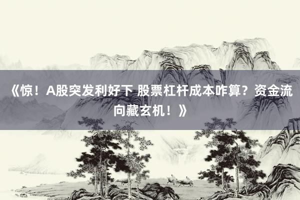《惊！A股突发利好下 股票杠杆成本咋算？资金流向藏玄机！》